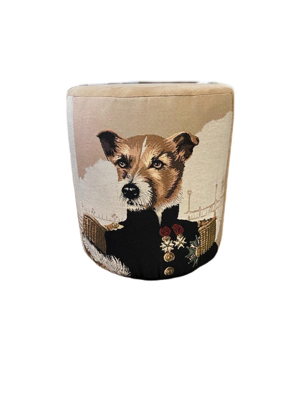 Höcker (Hund & Katze)beidseitig