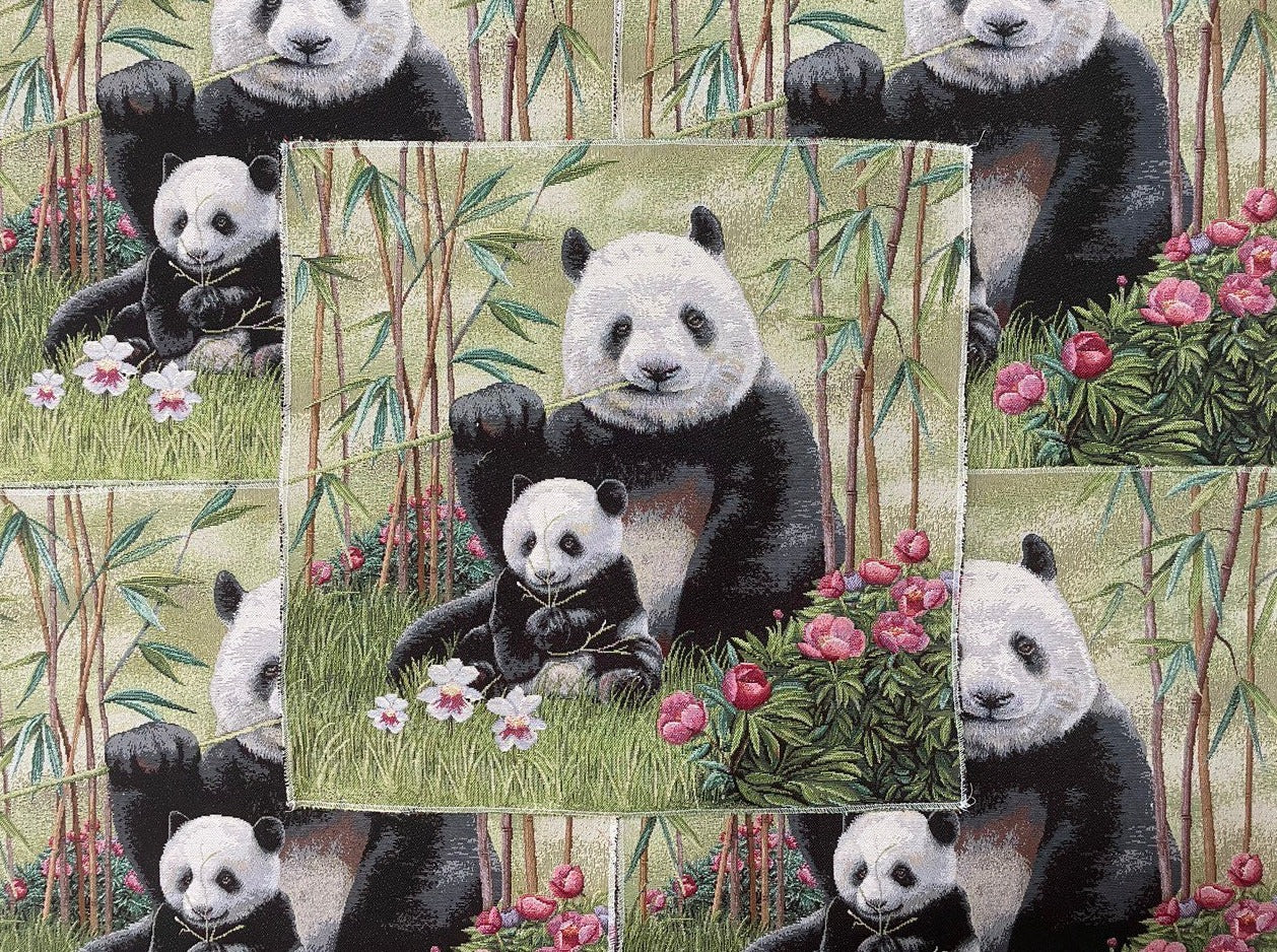 Panda Muster im Bambus Wald