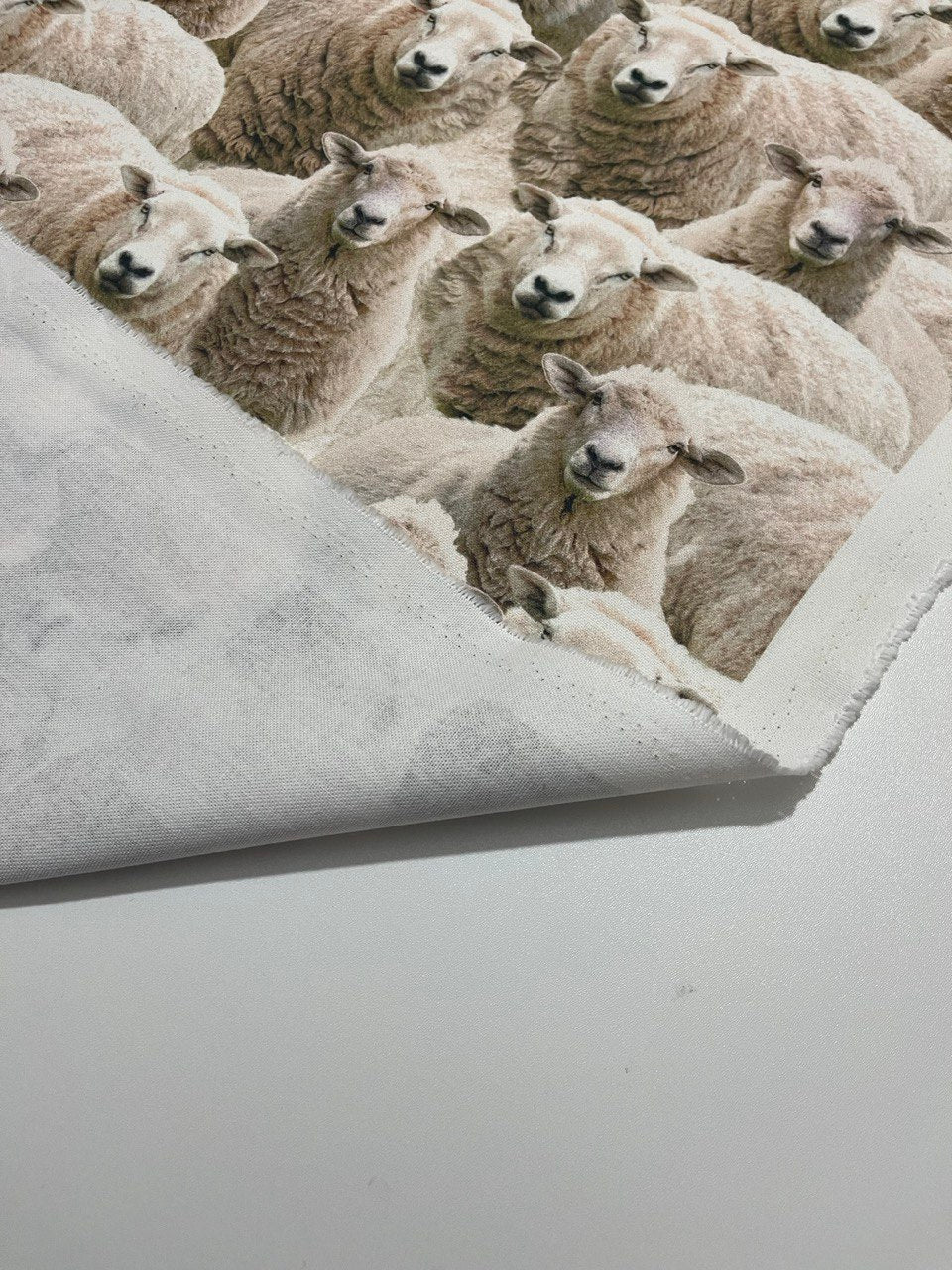 Digital baumwolle Schäfchen Muster