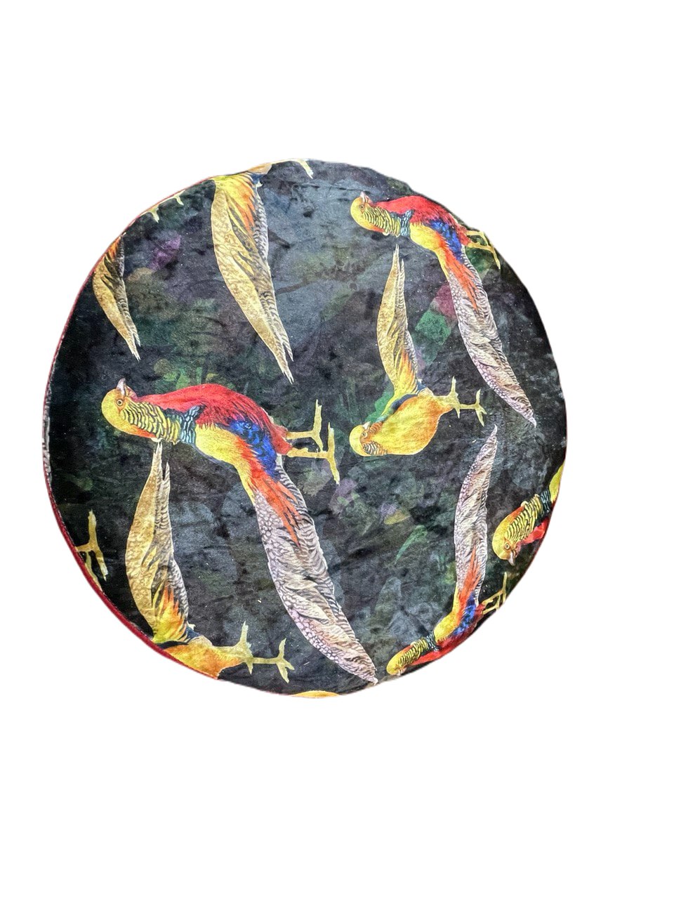 Digital Höcker Paradiesvögel