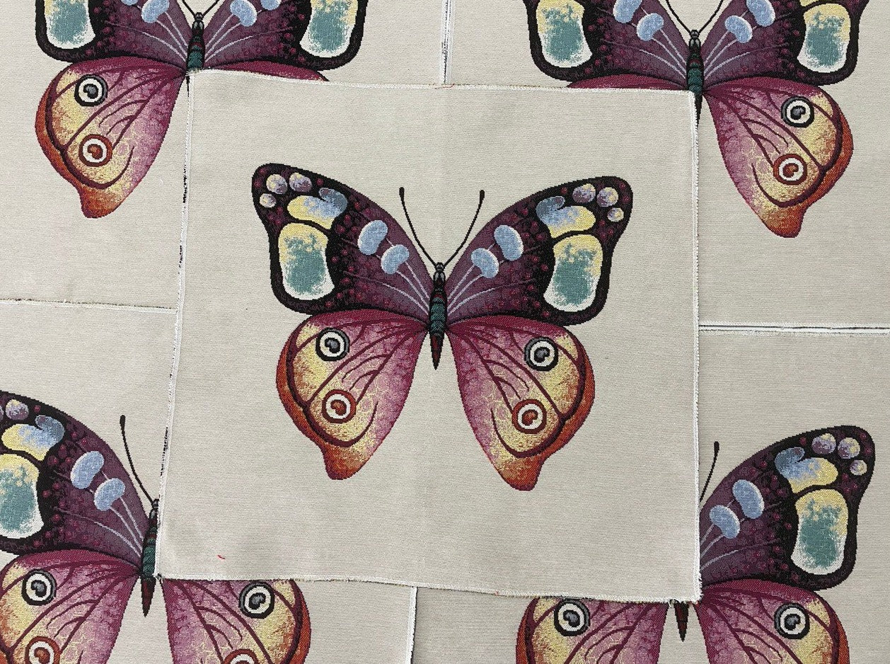 Bunter Schmetterling