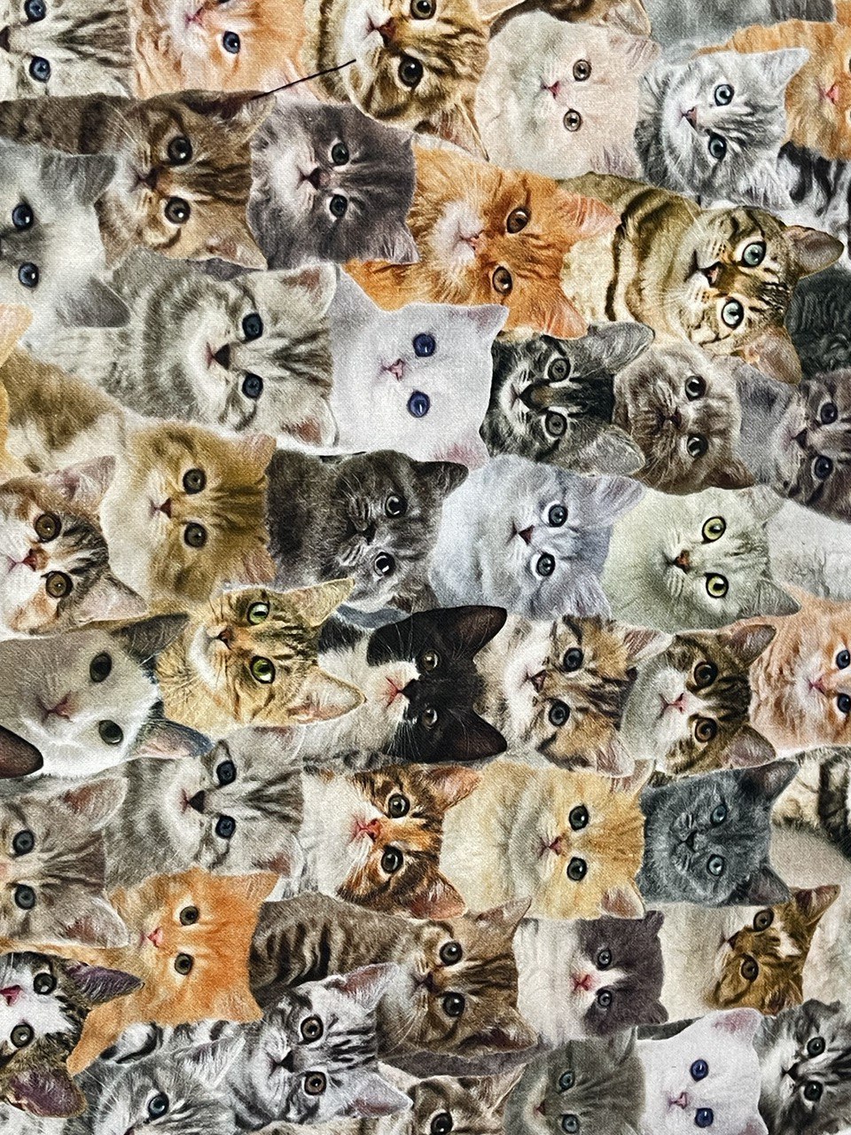 Digital Baumwolle Katzenmuster