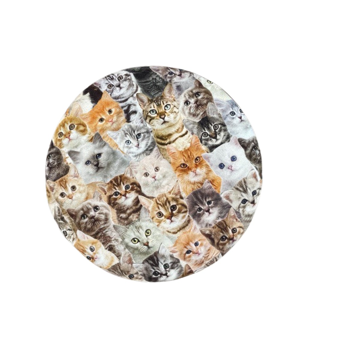 Digital hocker (katzen)