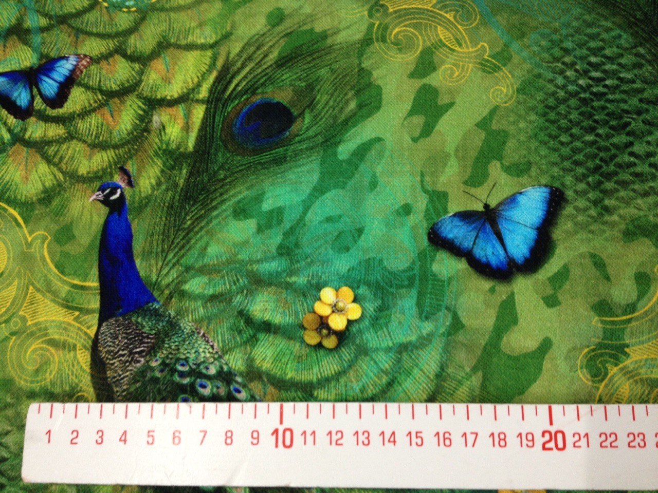 Digital baumwolle Schöner Blauer Pfau