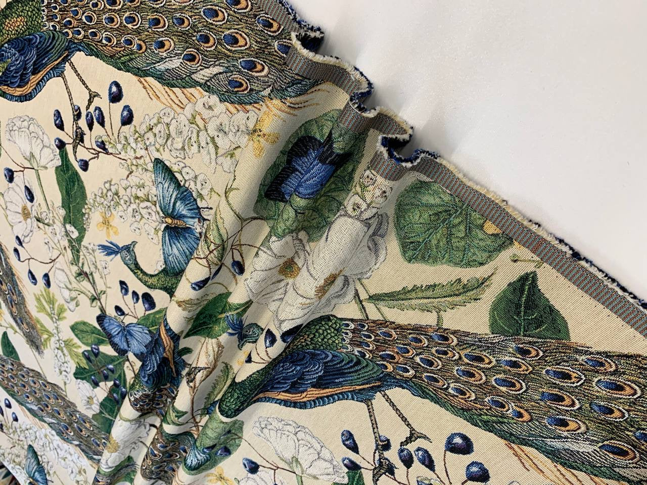 schöner Pfau mit klarem Farbhintergrund