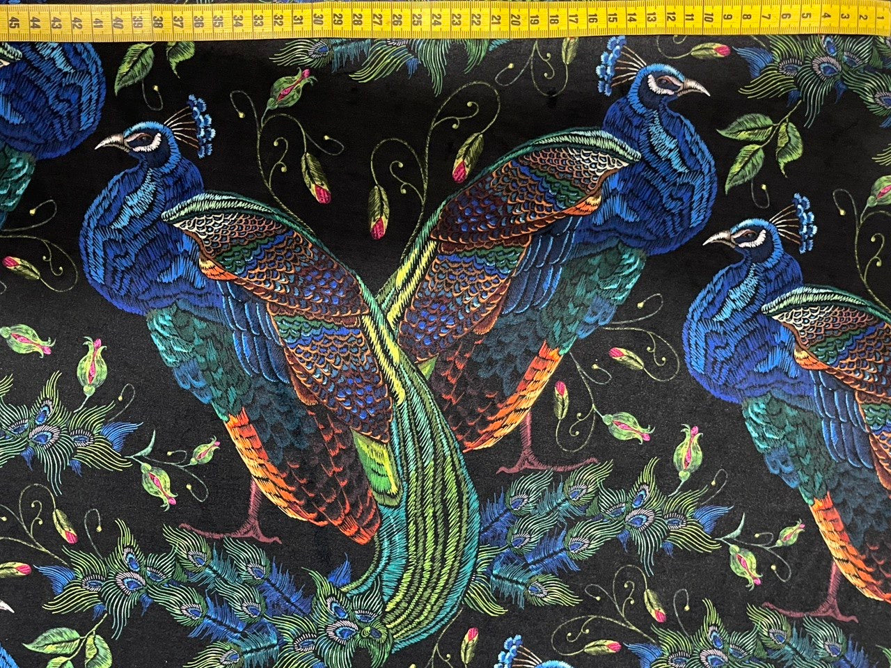 Schöner blauer und farbiger Pfau auf schwarzem Hintergrund Digital Samt