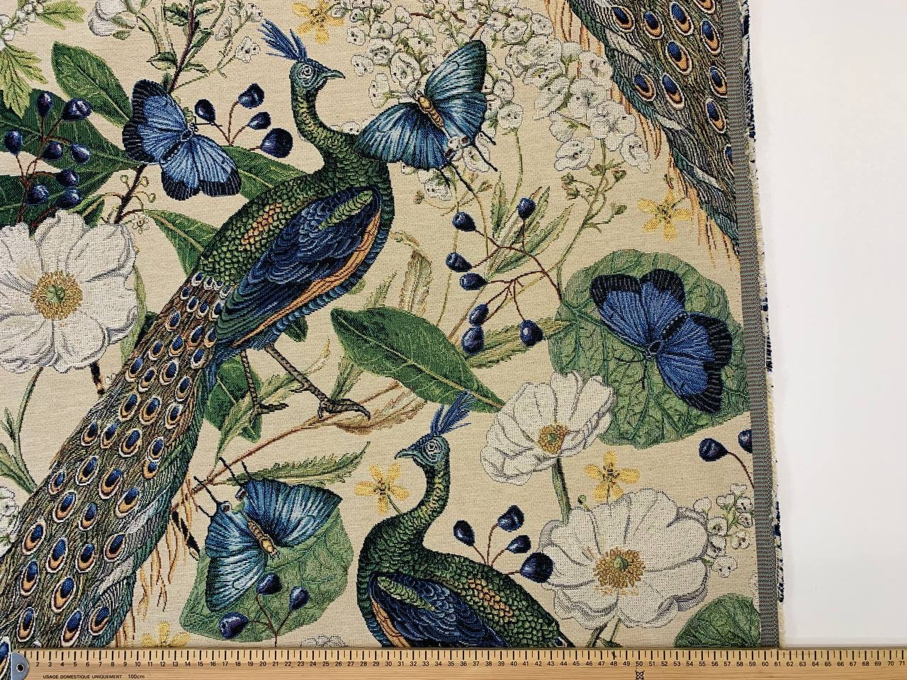 schöner Pfau mit klarem Farbhintergrund