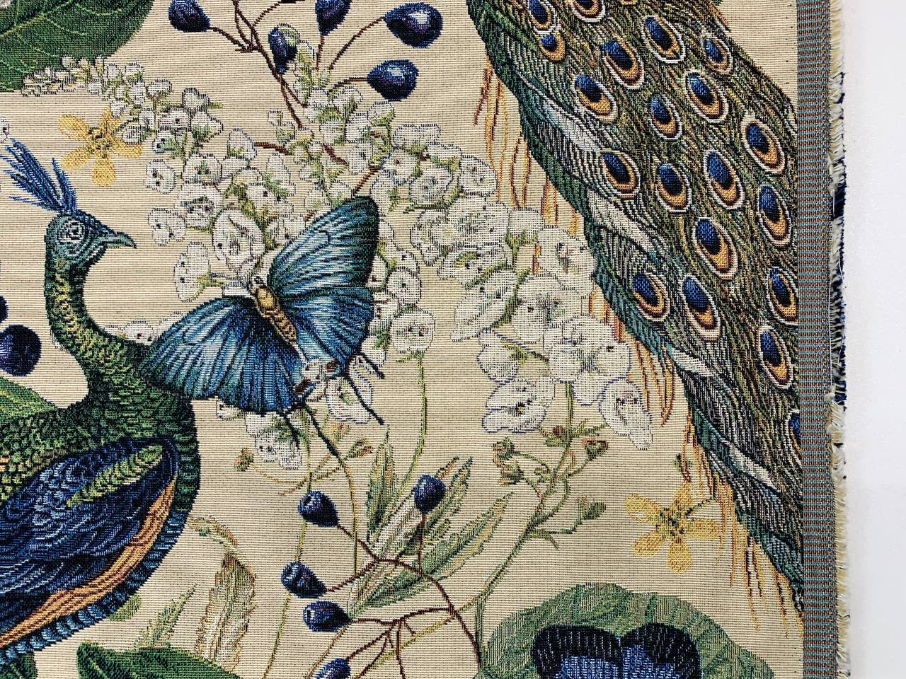 schöner Pfau mit klarem Farbhintergrund