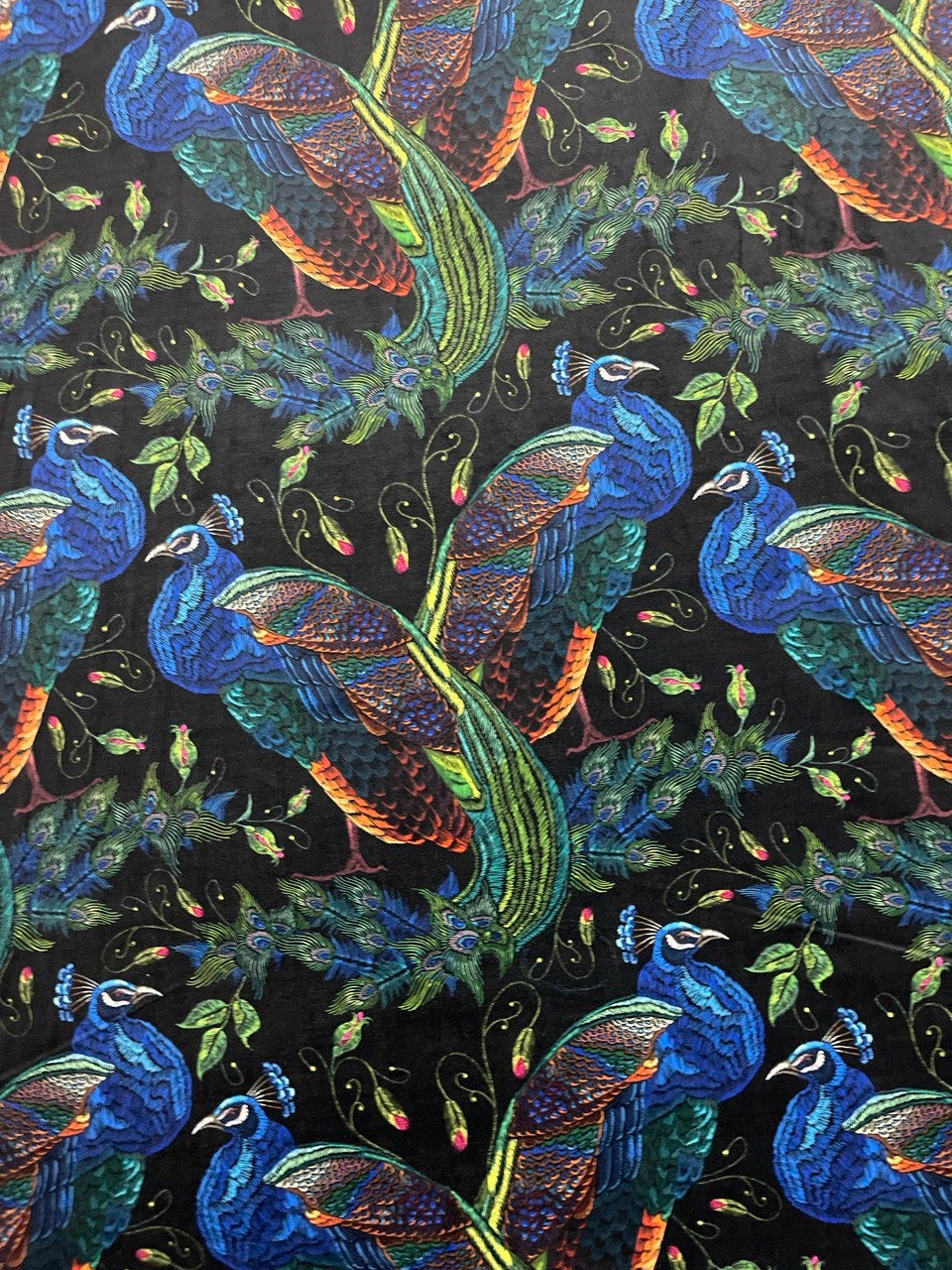 Schöner blauer und farbiger Pfau auf schwarzem Hintergrund Digital Samt