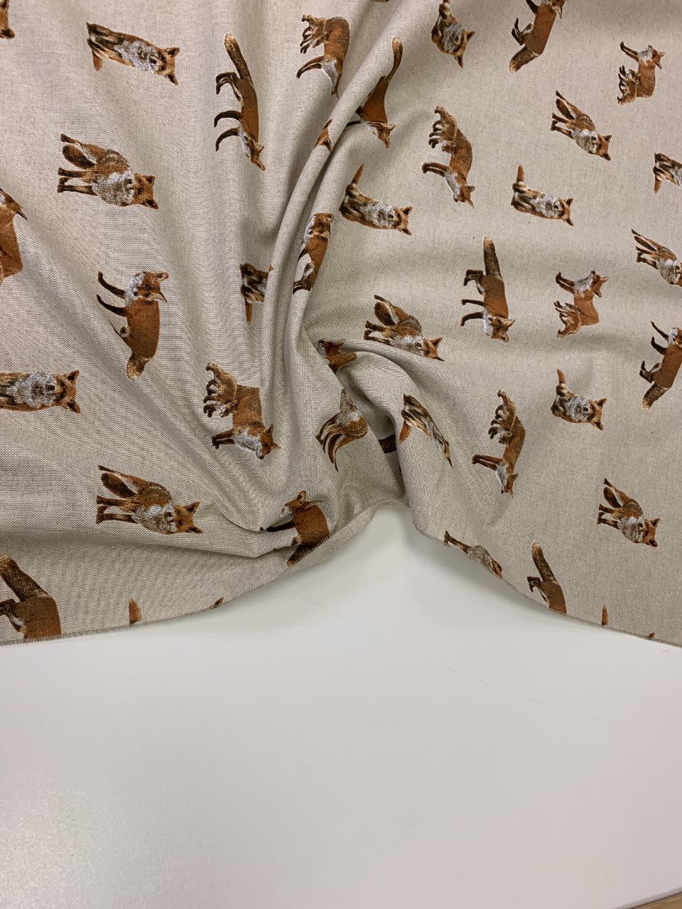 Ottoman Fuchs mit braunem Hintergrund