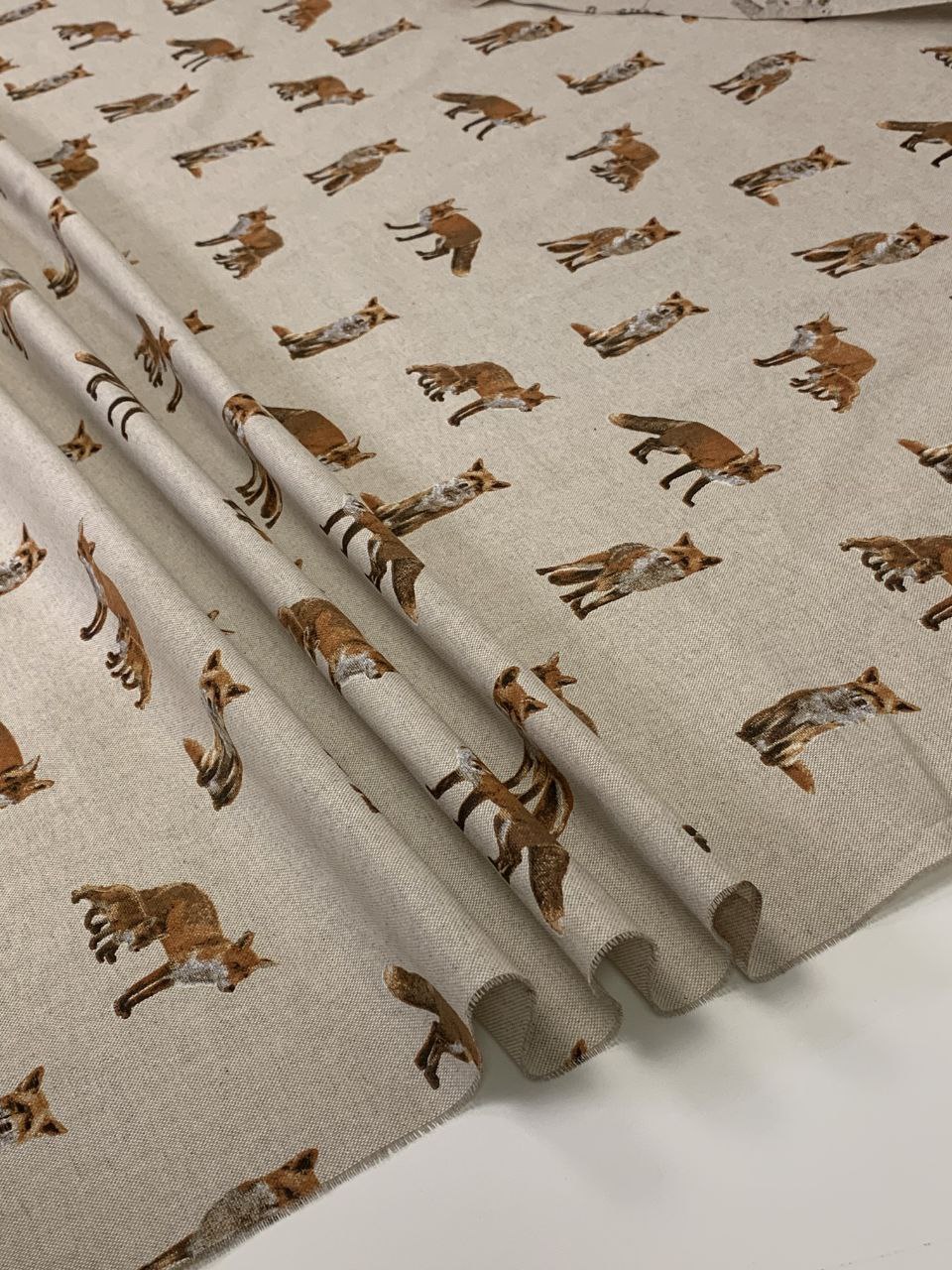 Ottoman Fuchs mit braunem Hintergrund