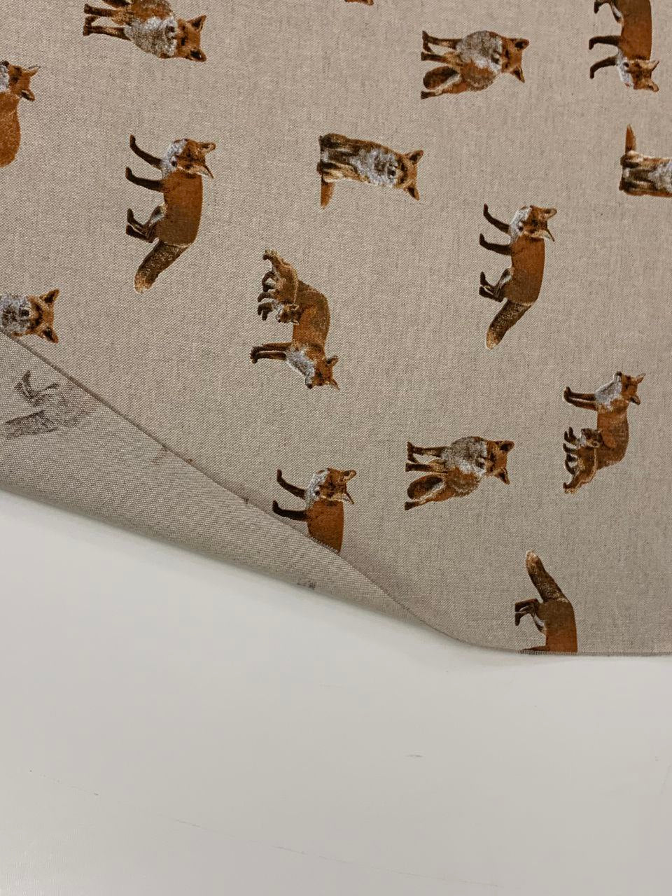 Ottoman Fuchs mit braunem Hintergrund
