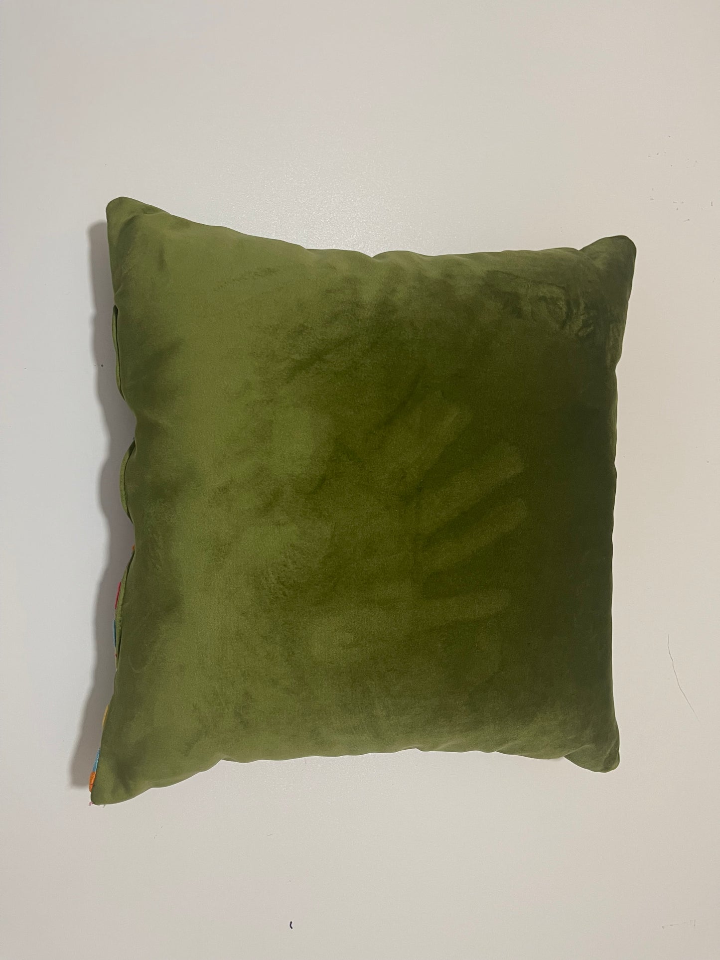 Samt vescose kissen