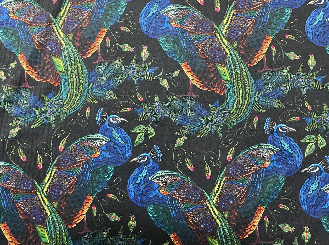 Schöner blauer und farbiger Pfau auf schwarzem Hintergrund Digital Samt