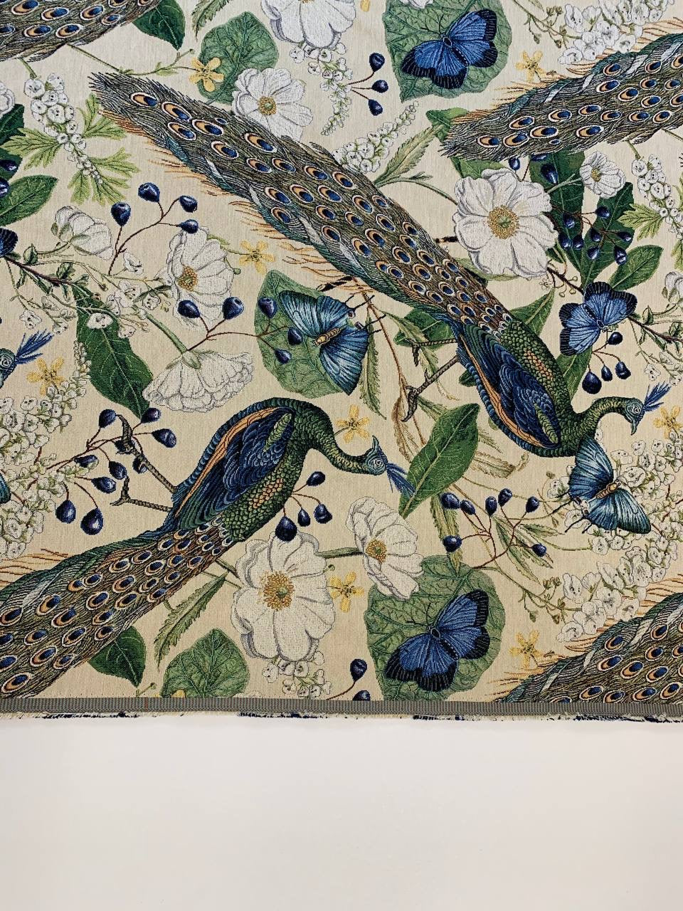 schöner Pfau mit klarem Farbhintergrund