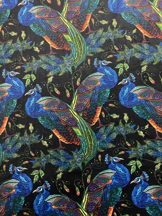 Schöner blauer und farbiger Pfau auf schwarzem Hintergrund Digital Samt