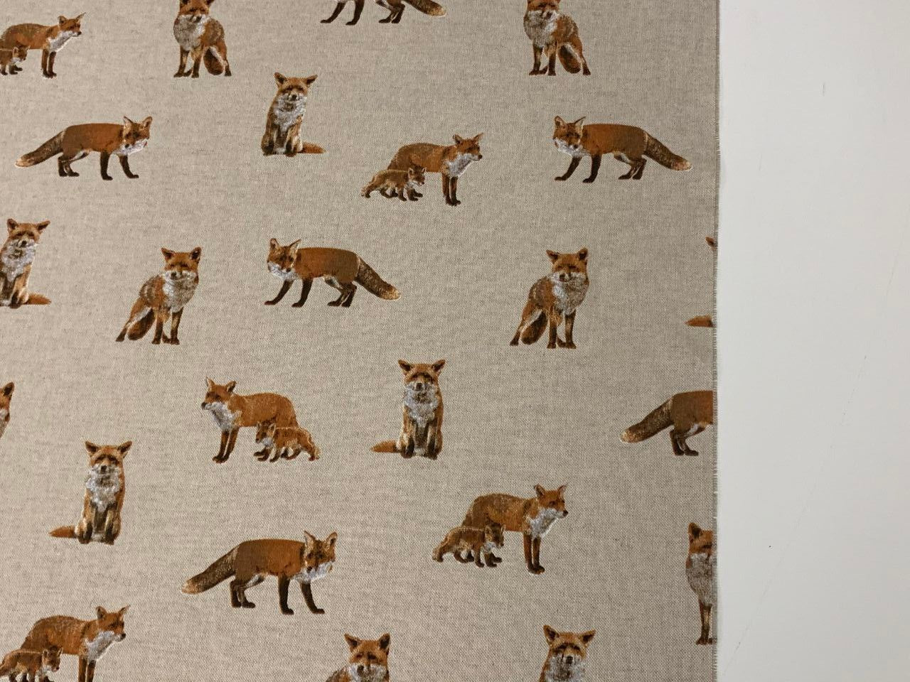 Ottoman Fuchs mit braunem Hintergrund